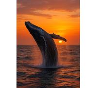 Sunset Whale 500 Piece Jigsaw Puzzle for Adults, Creativity, Challenging and Difficult Puzzle, Brain Teaser Puzzles for Adults 500 Pieces for The Whole for Women, Men