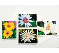 Sunshine Expressions Blooming Flowers Assorted Photographic High-End Linen Note Cards 8 w/10 Matching Envelopes, Boxed Set (4.25"x 5.50") Blank Inside - Made in USA