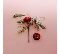 Sunsleeper - You Can Miss Something & Not Want It Back [VINYL]