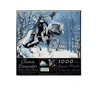 SunsOut 67621 - Thomas: Chance encounter - 1000 pieces jigsaw puzzle