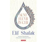 Sunt fluvii in cer - Elif Shafak, Editie in limba romana