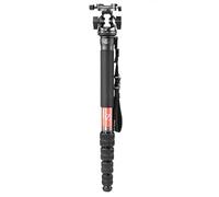 SUNWAYFOTO M3650C + DT-03R CF Monopod 36mm Top Section 10kg 22lb Max Load Carbon Fiber 1/4" / 3/8" Super Portable + Arca Compatible Panning QR Clamp Head