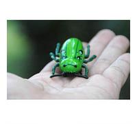 Sunydog Mini Plastic Electronic Ladybug Toy For Kids Realistic Simulation Toy For Children Material Plastic 1 Pcs (Green)