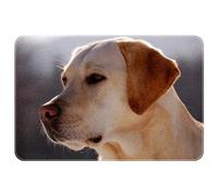 suojapuku Indoor Doormat,Floor Mat Area Rug,labrador retriever dog,Front Back Door Mat Home Decoration 35x24 Inch Carpet
