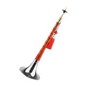 suona Old Mahogany Suona Beginner D Key Suona Professional National Musical Instrument Folk Suona (Color : 02)