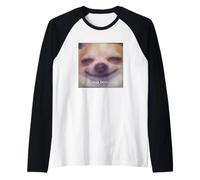 Sup Bois Funny Humor Chihuahua Dog Cute Blurry Meme Raglan Baseball Tee