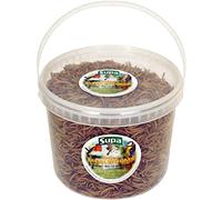 Supa Dried Mealworms 5ltr