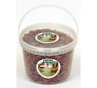 Supa Dried Mealworms - Wild Bird Food / Treat 3Ltr
