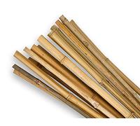 SupaGarden 2ft High Quality Extra Strong Bamboo Garden Canes Stakes Pack of 20
