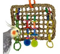 Super Bird Creations Mini Activity Wall Toy for Birds