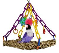 Super Bird Creations SB747 Mini Flying Trapeze Bird Toy, Small Bird Size, 6” x 7” x 9”