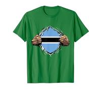 Super Botswanan Heritage Proud Botswana Roots Flag T-Shirt, Men, Kelly Green, Large