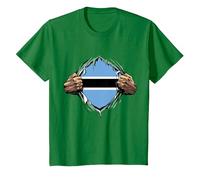 Super Botswanan Heritage Proud Botswana Roots Flag T-Shirt, Youth, Kelly Green, X-Small