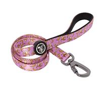 SUPER DOGGY Original Dog Leash - Small, Medium and Large Dog - Durable Nylon Leash and Padded Handle - Various Fun Prints, 120 x 2 cm (Pink Bananas)