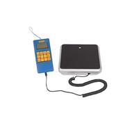 super-ego 1500001401 Sego SCL Scale Cranberry