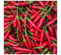Super Hot Birds Eye Chillies Genuine Demon Chillies 100% Natural Spices HerbsnSpiceit (50g)