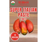 Super Italian Paste Tomato Seeds - 10 Fresh Seeds