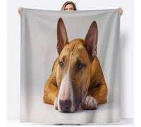 Super King Flannel Fleece Throw Blankets Photography Animal Bull Terrier Soft Cozy Print Throw, Fluffy Fall Blanket Plush Home Decor for Couch Bed Sofa Living Room Bedroom, Grey