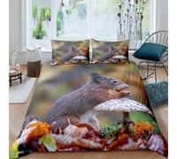 Super King Size Duvet Cover Sets Squirrel 3D Quilt Covers Wild Animals Things Duvet Cover Super King Size 220x260 with 2 Pillowcases 50x75cm with Zipper, Soft Easy Care C-730