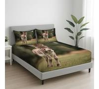 Super King Size Fitted Sheet - 180 x 200 x 30 Bedspread Photorealistic Animals Donkey Meadow Deep Pocket, Soft Microfibre, Wrinkle-Free, Easy Care, Fade & Shrink Resistant - Green Bedspread