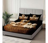 Super King Size Fitted Sheets -30cm Deep Photography Animals Dogs Fitted Sheets, Soft Brushed Microfiber Easy Care Fade Resistant Breathable Bedding Set, Black