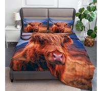 Super King Size Fitted Sheets -30cm Deep Scotland Highland Cattle Fitted Sheets, Soft Brushed Microfiber Easy Care Fade Resistant Breathable Bedding Set, Light Blue