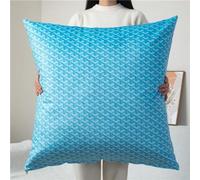 Super King Size Pillow Cases,Square Extra Large Cushion Covers 60 x 60,70x70,80x80 cm Soft Pillow Cover with Invisible Zipper Decorative pillowcases for pillows Sofa(Color:Light Blue,Size:70x70 cm)