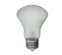 Super Leuci 196v 100w Elinchrom EL23002 Modelling Lamp Bulb
