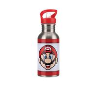 Super Mario Metal Water Bottle with Straw - Officially Licensed Nintendo Stainless Steel Drinks Bottle, Novelty Gift for Retro Gamers, 450 ml (16 fl oz) | Paladone