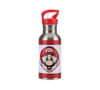 Super Mario Metal Water Bottle with Straw - Officially Licensed Nintendo Stainless Steel Drinks Bottle, Novelty Gift for Retro Gamers, 450 ml (16 fl oz) | Paladone