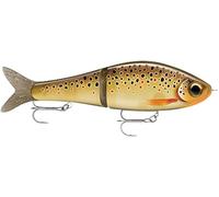 Super Shadow Rap Glide 16 TRL