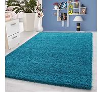 Super Soft Shaggy Rug Anti-Slip Carpet Mat Living Room Large Area Rugs Modern Floor Bedroom Extra Large Size (120 x 170 cm, Teal Blue)