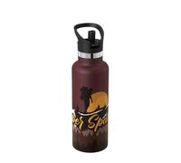 Super Sparrow Water Bottle Stainless Steel - Metal Water Bottle - 500ml - Insulated Water Bottles - Water Bottle with Straw Lid - BPA Free Kids Water Bottle - Flask for Gym, Travel, Sports