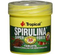 SUPER SPIRULINA FORTE TABLETS 50ml / 36g / 80 pcs - spirulina-rich adhesive tablets for herbivorous fish, cichlids & crustaceans (color, growth & immunity)