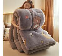 Super Warm Lamb Quilt,Thickened Warm Autumn Spring Plush Comforter Core Fluffy Fuzzy Shaggy Soy Fiber Filled Winter Quilt,Machine Washable Skin-Friendly F,200x230cm-5KG