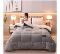Super Warm Lamb Quilt Winter Blanket Double-Sided Fleece Quilt Thickened Warm Plush Comforter Solid Color Down Duvet, Machine Washable,A,150x200cm(2.5kg)