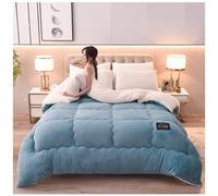 Super Warm Lamb Quilt Winter Blanket Double-Sided Fleece Quilt Thickened Warm Plush Comforter Solid Color Down Duvet, Machine Washable,A,150x200cm(2.5kg)