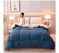 Super Warm Lamb Quilt Winter Blanket Double-Sided Fleece Quilt Thickened Warm Plush Comforter Solid Color Down Duvet, Machine Washable,A,150x200cm(2.5kg)