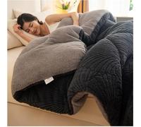 Super Warm Lamb Quilt Winter Blanket, Double-Sided Velvet Quilt Thickened Warm Autumn Spring Plush Comforter Core, Winter Quilt Full Size, sided Quilt for Cold Weather,008,200 * 230cm(3kg)