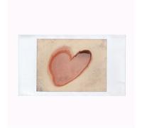 Super XX Man - Volume V