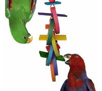 SUPERBIRD Creations SB625 Olympic Rings Bird Toy, Large Bird Size, 15” x 4” x 4”