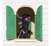 Superchunk - Wild Loneliness [VINYL]