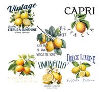 SUPERDANT 6PCS Vintage Lemon Iron on Transfers Limoncello Fruit Heat Transfer Stickers Washable Iron on Decals for T Shirts DTF Transfers Ready to Press for Clothing Hoodie Jackets DIY Gift