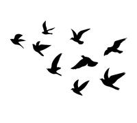 SUPERDANT 9pcs Black Birds Wall Decals Flying Bird Wall Stickers