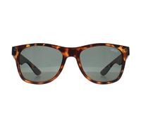 Superdry Alfie Mens Havana Sunglasses