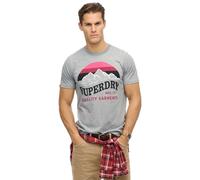 Classic casual T-shirt Superdry Great Gris M