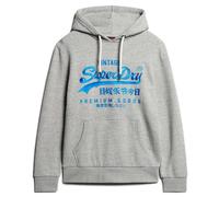 Superdry Men's Hoodie - Neon VI Graphic Hoodie, Logo, Solid Light Gray S