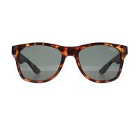 Superdry Men's Rectangle Havana Green Alfie in Brown Superdry Brown One Size