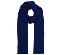 Superdry Mens Vintage Logo Scarf (Bright Blue Grit) One Size