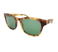 Superdry Montego Sunglasses Matte Brown Tortoise/ Dark Green CAT.3 Lenses 112